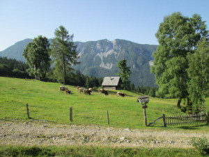 Tičova_planina