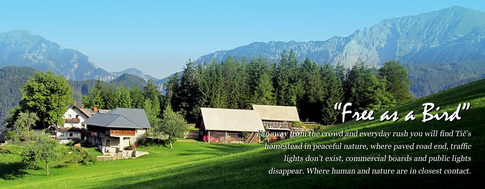 Turistična kmetija Pr TIČ - Naša visokogorska kmetija ima samotno lego na nadmorski višini 1050 m, s čudovitim razgledom na dolino in bližnje gore. Sredi narave, na izhodišču planinskih poti sta vam na voljo dva apartmaja, ekološko pridelana hrana in vrsta možnosti za preživljanje prostega časa